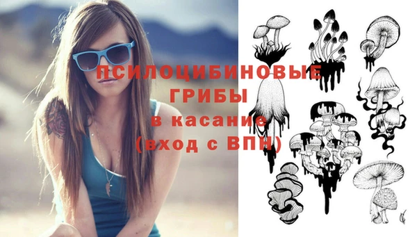 метадон Алексин