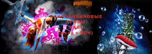 дмт Алзамай