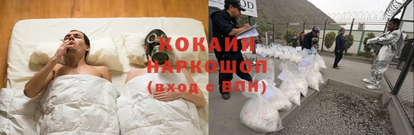 дмт Алзамай