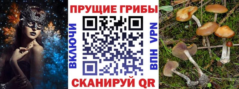 Галлюциногенные грибы ЛСД  цены наркотик  Венёв 